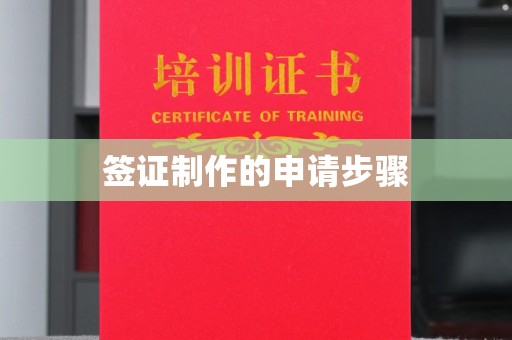 大荔签证制作的申请步骤