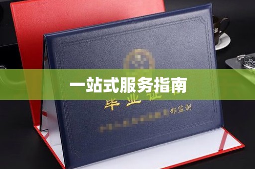 大荔一站式服务指南