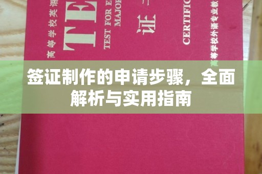 大荔签证制作的申请步骤，全面解析与实用指南