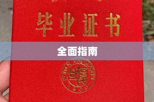大荔全面指南