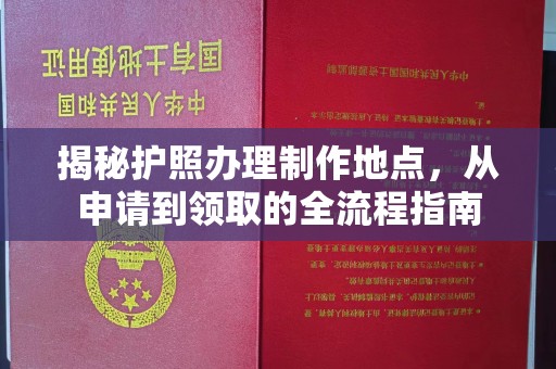 大荔揭秘护照办理制作地点，从申请到领取的全流程指南
