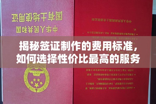 大荔揭秘签证制作的费用标准，如何选择性价比最高的服务？