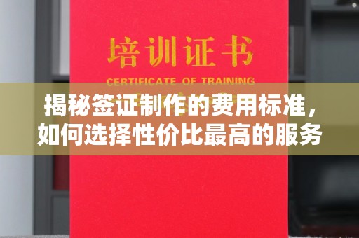 大荔揭秘签证制作的费用标准，如何选择性价比最高的服务？