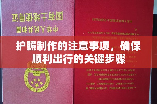 大荔护照制作的注意事项，确保顺利出行的关键步骤