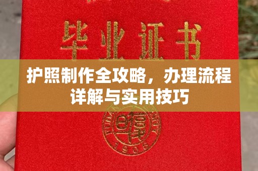 大荔护照制作全攻略，办理流程详解与实用技巧