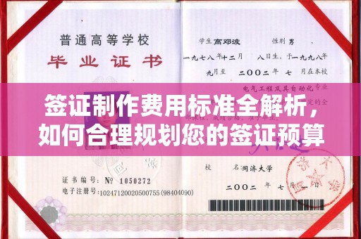 大荔签证制作费用标准全解析，如何合理规划您的签证预算？